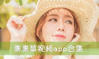 青青草在视频,自然之美与生命力的赞歌